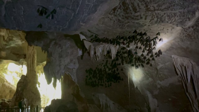 Bat Cave