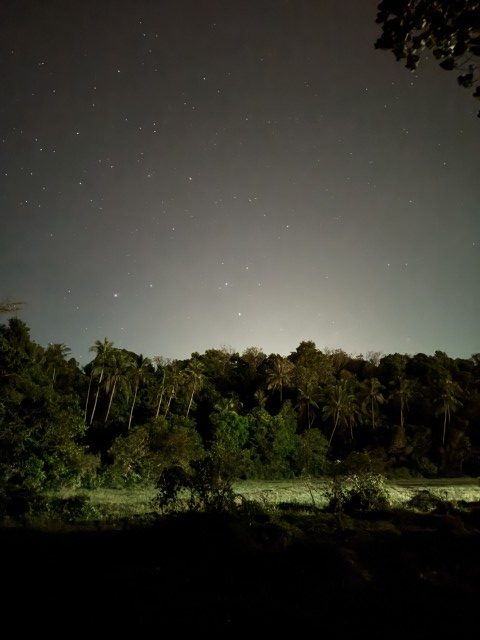 みなみじゅうじ座Jan2026